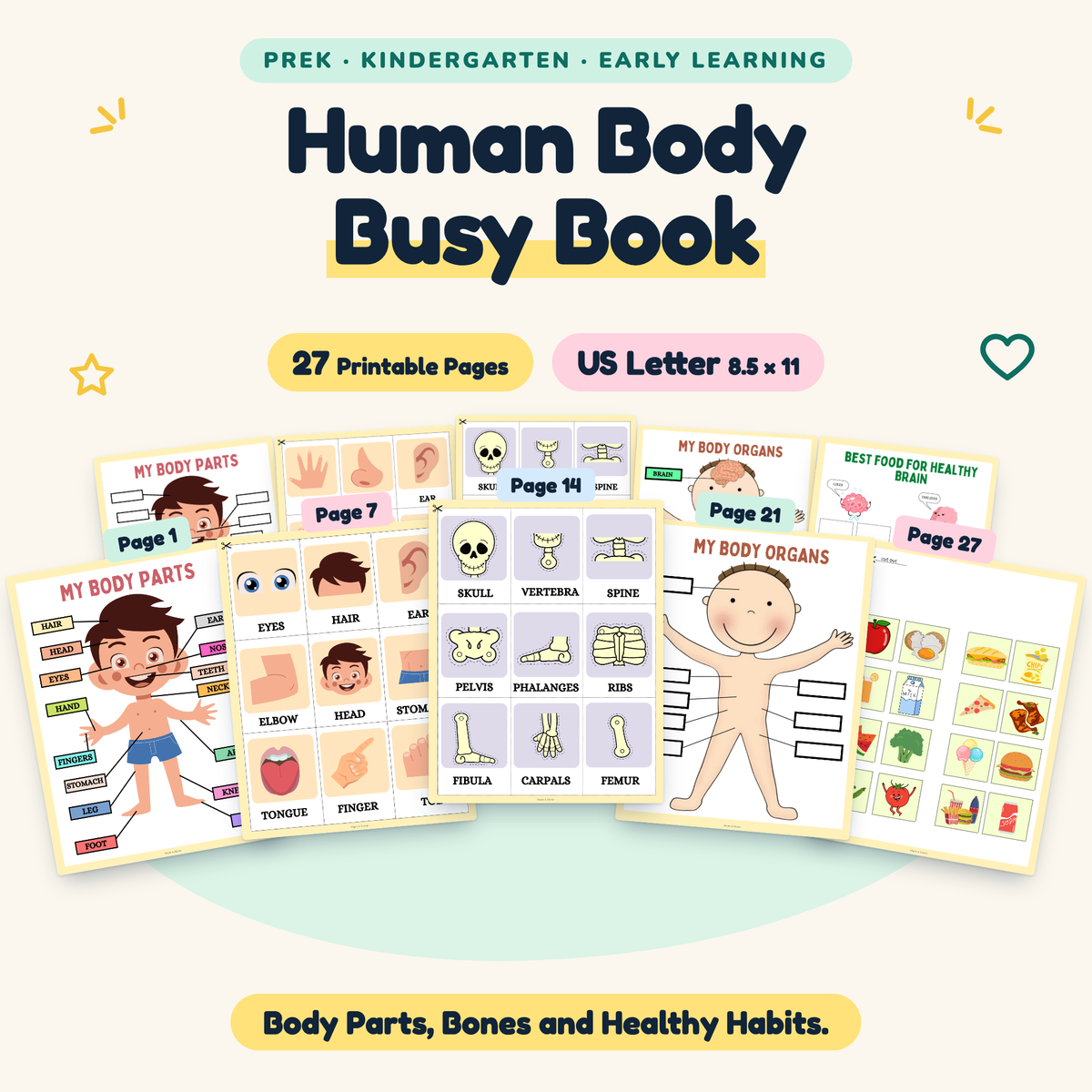 Human Body Busy Book — Body Parts, Bones and Healthy Habits, PreK–K — cover